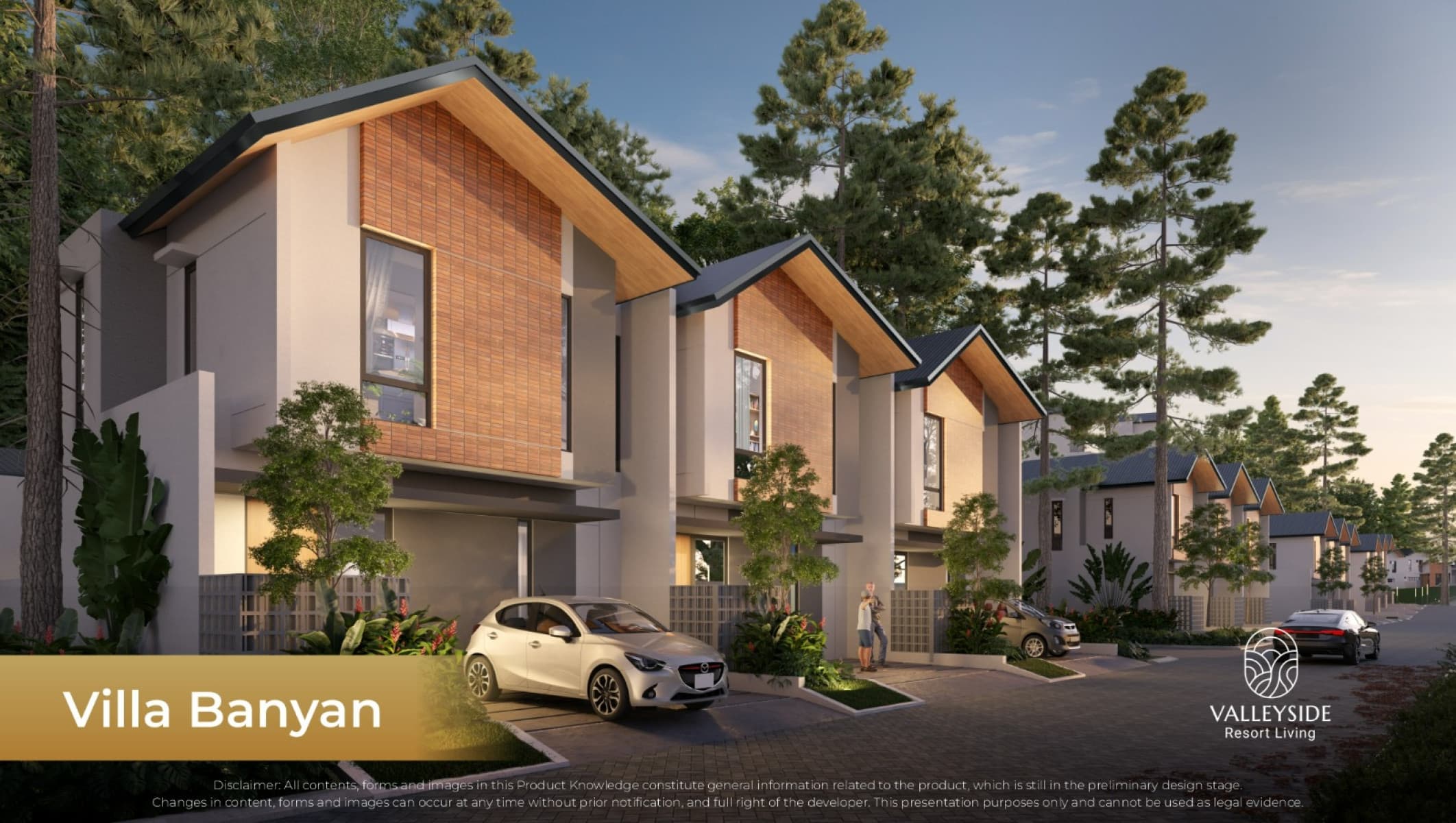 project image10