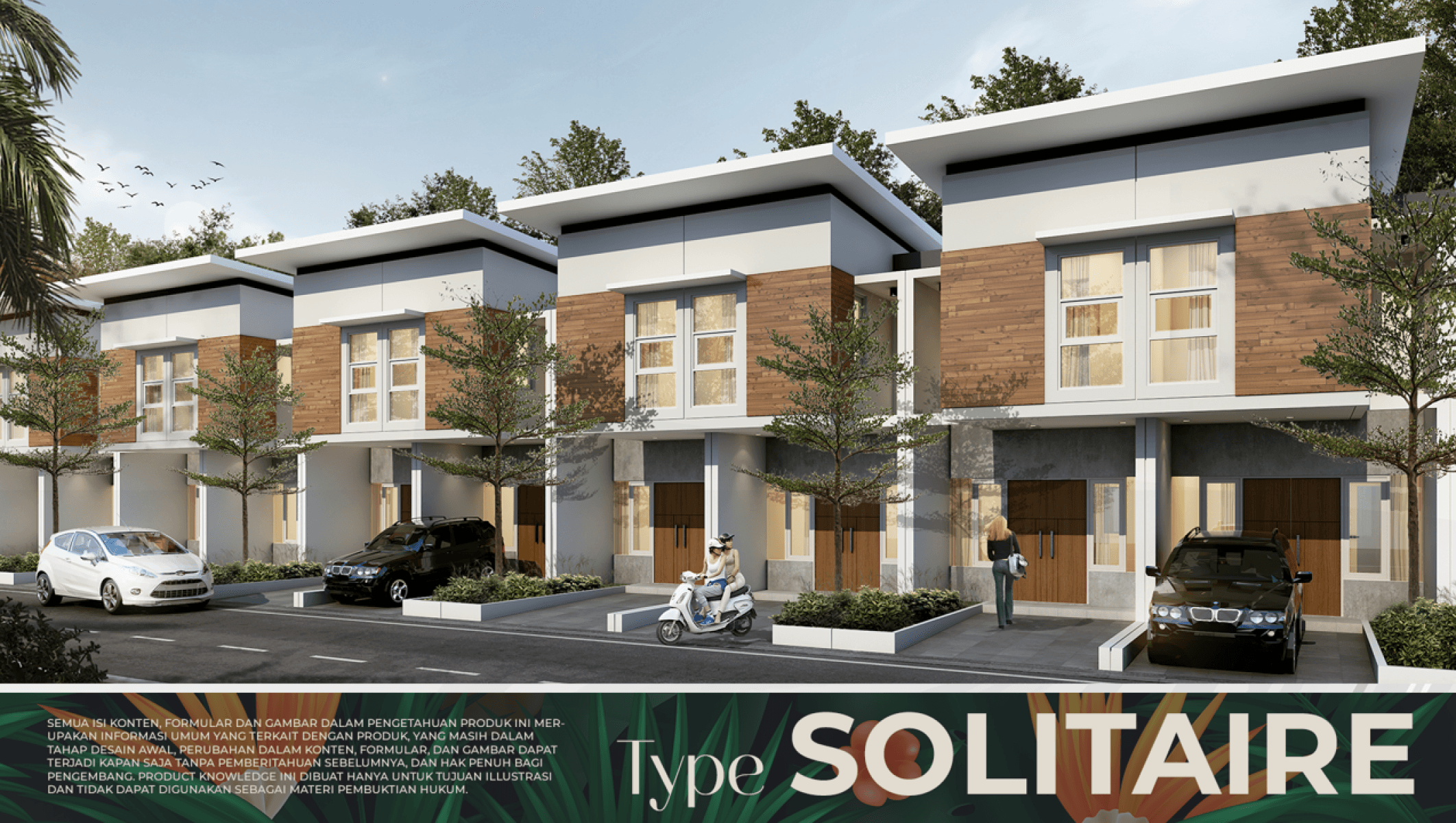 project image2