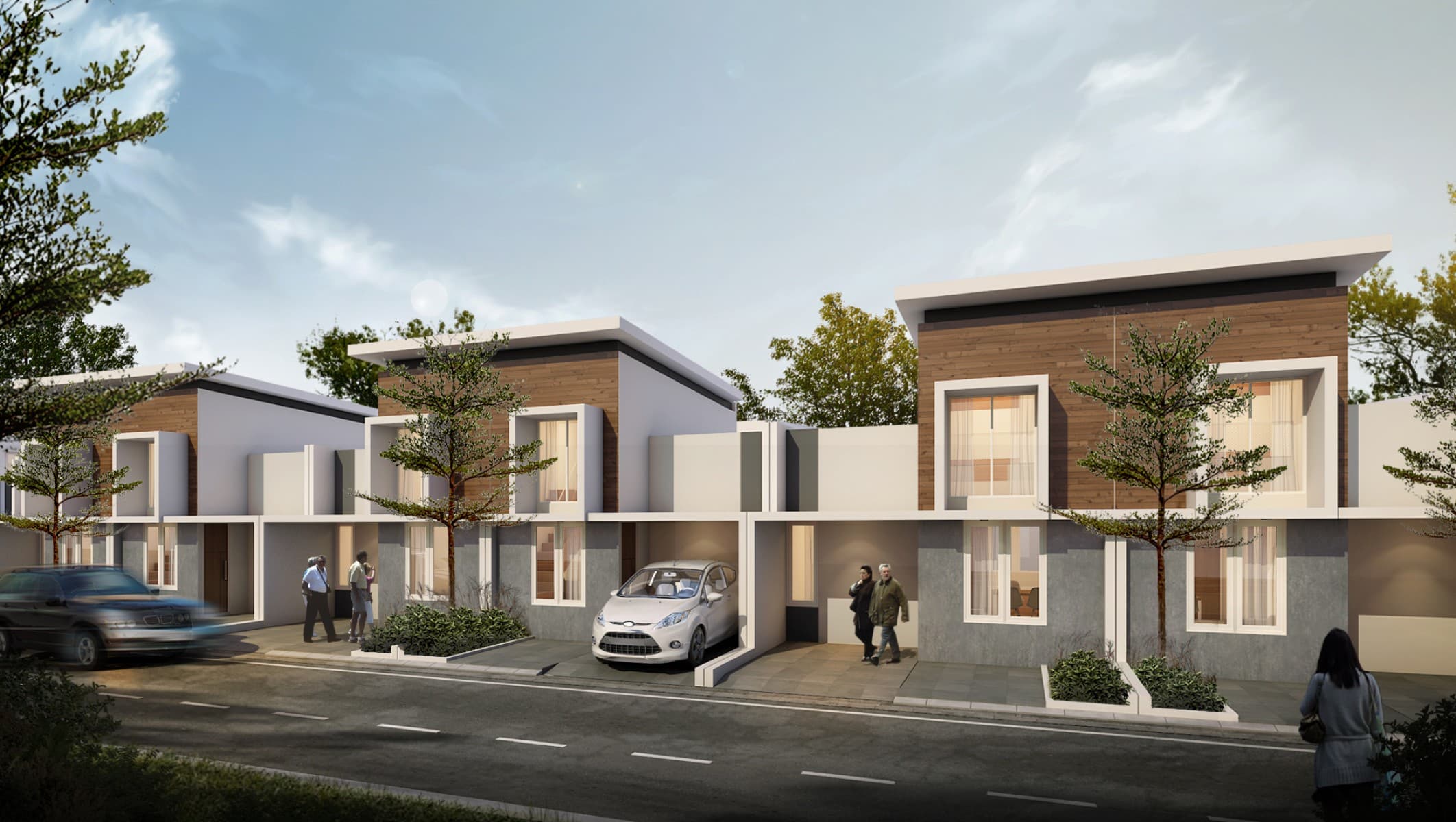 project image1