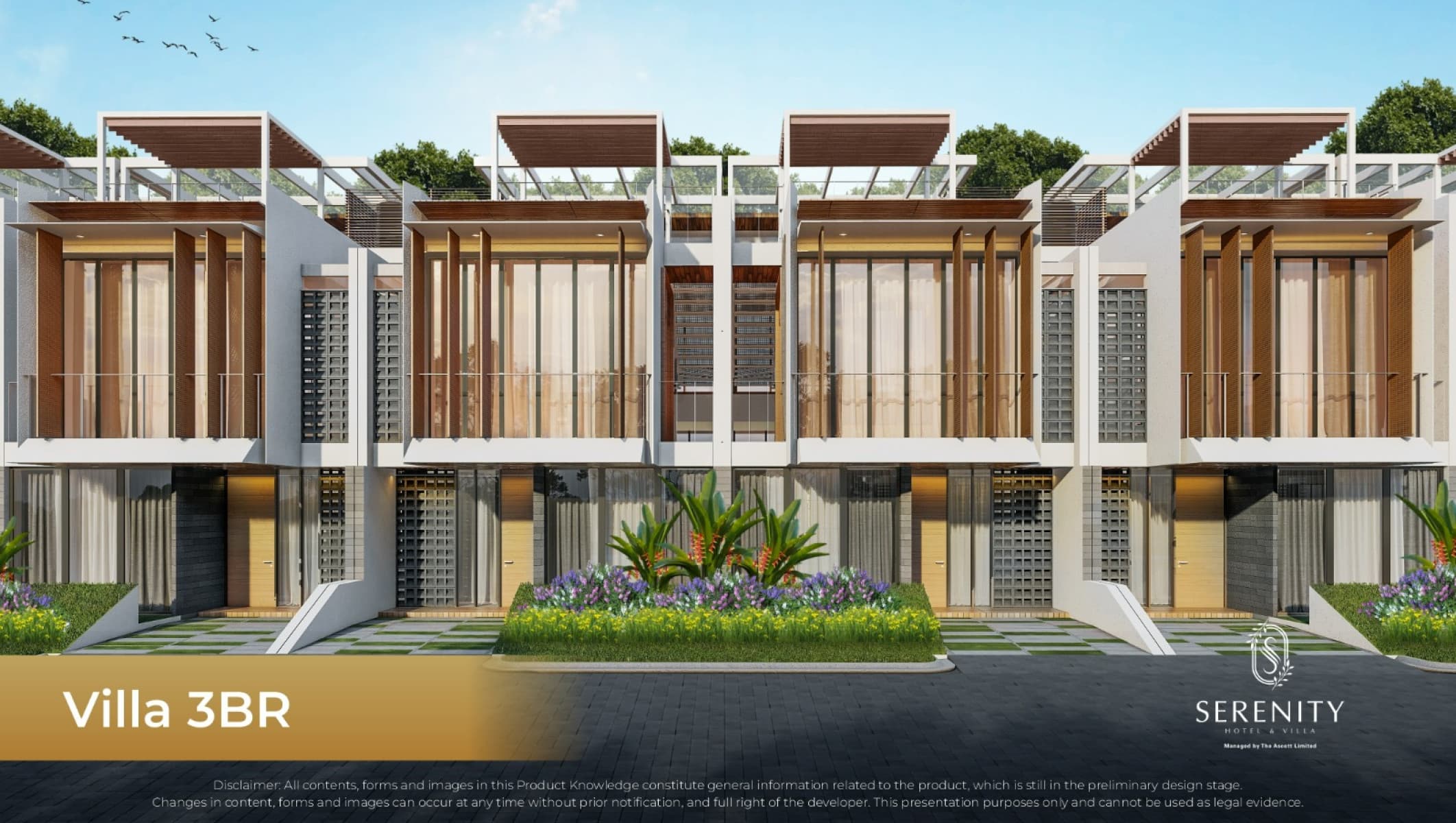 project image9